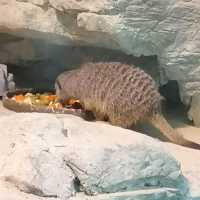 香港動植物公園150週年紀念
