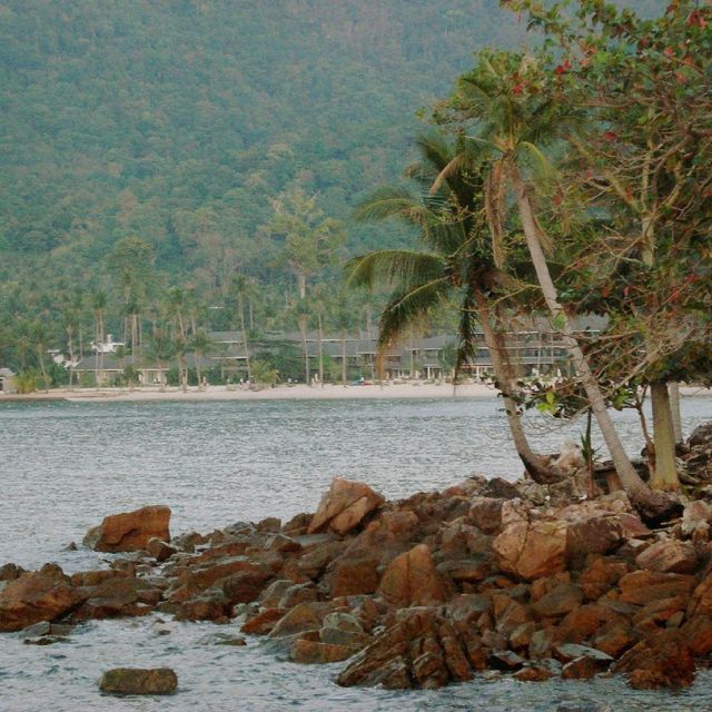 แหลมใบลาน