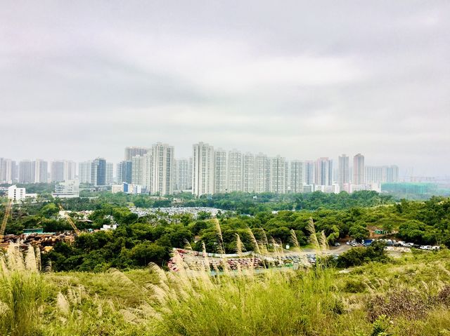 元朗髻山觀覽天水圍