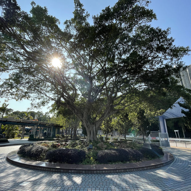 超大型公園草地同設施