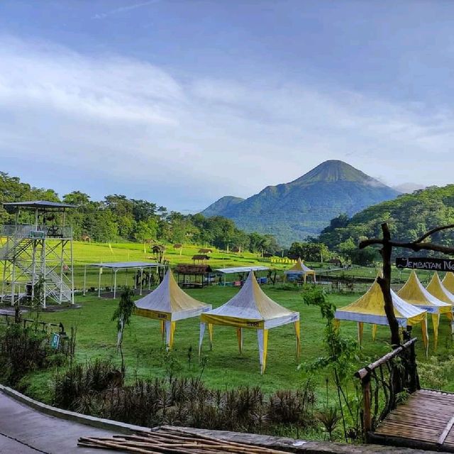 Beautiful nature tour