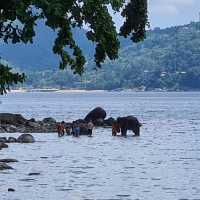 ชายหาดสีขาว เงียบสงบ ไม่ไกลจากป่าตอง