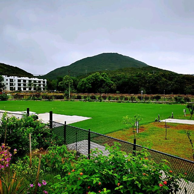 白臘村