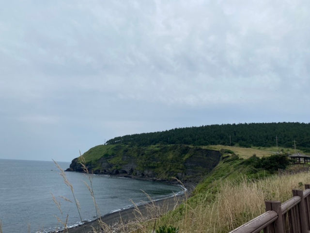 제주도 바다가 보이는 산, 걷는 내내 절경인 송악산 등산 🏃🏻‍♀️