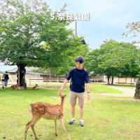 旅とこチョイス！奈良旅行7選