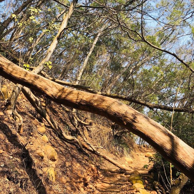 🔥熱熱熱～熱情如火的火焰山⛰️