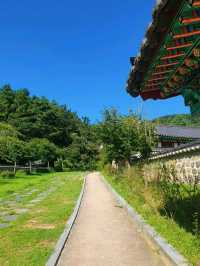 대전의 우암사적공원 🌿