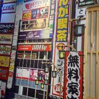 Nice Japanese Decoration