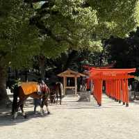 【福岡】流鏑馬神事