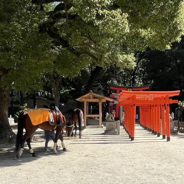 【福岡】流鏑馬神事