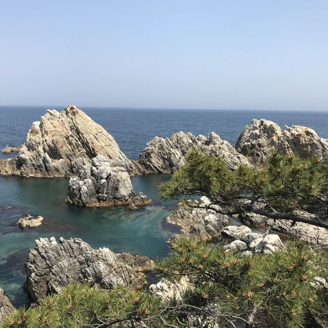 심척에서는 누구나 금손♡