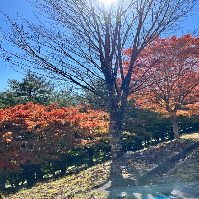 【長野】名前の通りの美しい紅葉