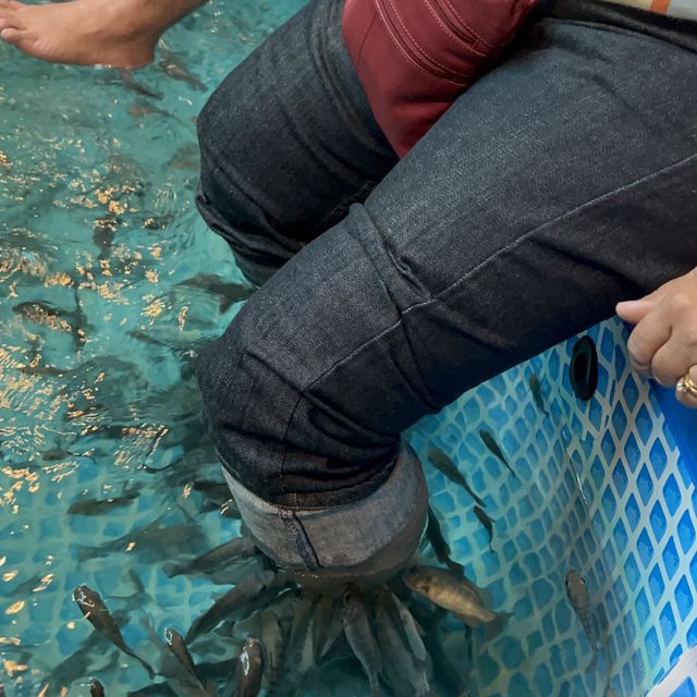 Fish 🐟🐠 Spa Inside Central Market 🇲🇾