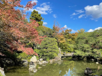 城南宮