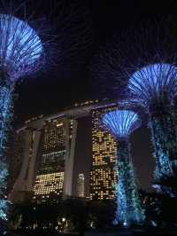 Gardens by the bay @ Night 🌴🇸🇬🎆🌃