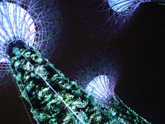 Gardens by the bay  