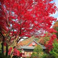 วัดกูอินซา GUINSA 