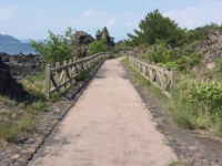 櫻島賞火山+足浴😍