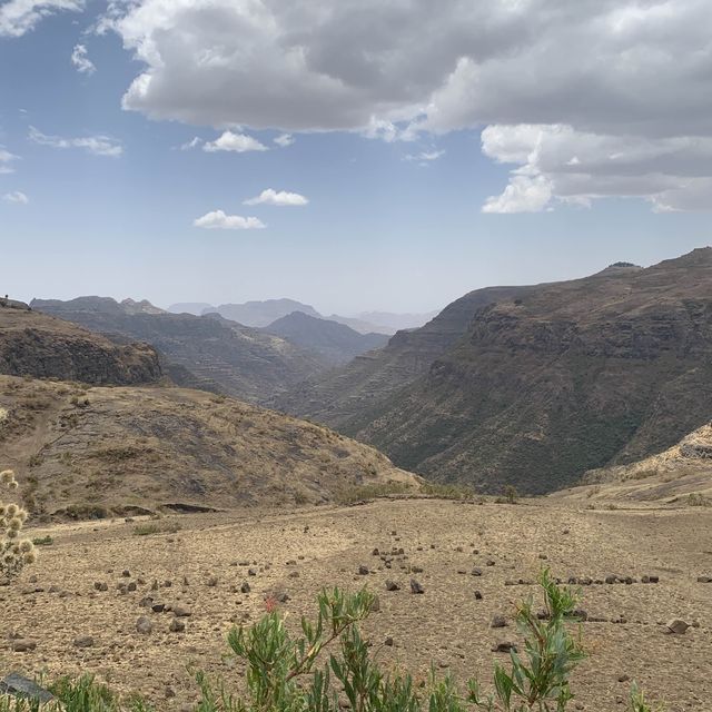 Wandering through the Wild African North.