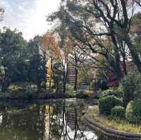 Emperor palace in Tokyo - fall season