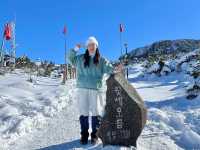 [한라산] 엘사의 세상같던 눈덮힌 윗세오름🗻