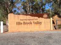 Eagle’s Eye Ellis Brook Valley 😎 Perth, WA