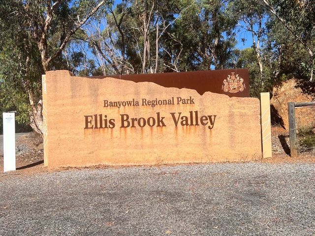 Eagle’s Eye Ellis Brook Valley 😎 Perth, WA