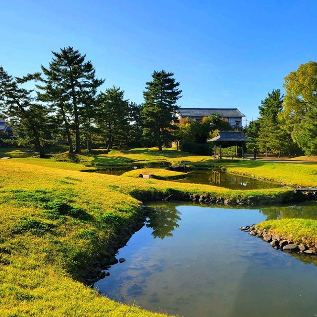 国の名勝の庭園【旧大乗院庭園】