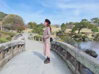 熊本県　水前寺公園で春を感じてきた🌸✨