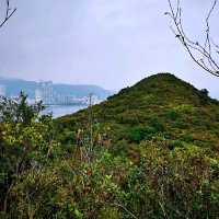 連島沙洲 －水浸咀排； 通天洞－芝麻籠