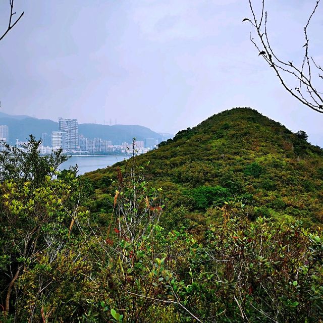 連島沙洲 －水浸咀排； 通天洞－芝麻籠
