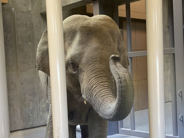 名古屋【東山動植物園】