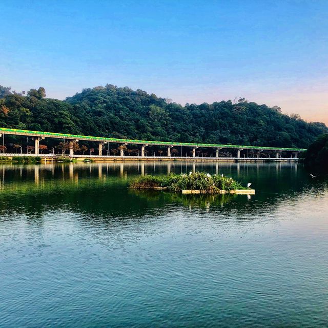 浪漫悠閒好去處💕大湖公園 Dahu Park🦢🕊