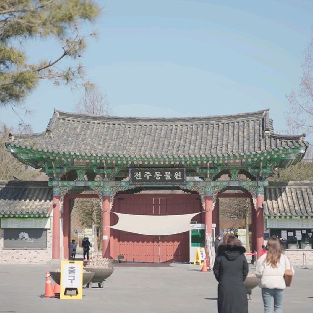 최근 다시 개장한 핫플 '전주동물원' - 단돈 3,000원에 인생 동물원을!!