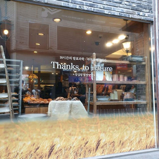 빵순이&빵돌이라면 무조건 가야하는 🍞대전 성심당🍞