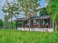 คาเฟ่บรรยากาศดีวิวทุ่งนา