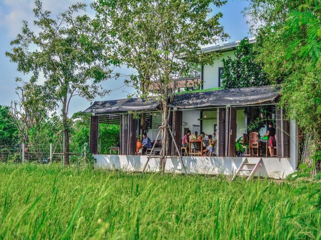 คาเฟ่บรรยากาศดีวิวทุ่งนา
