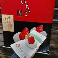 奈良町食べ歩き　大仏いちご・よもぎ餅