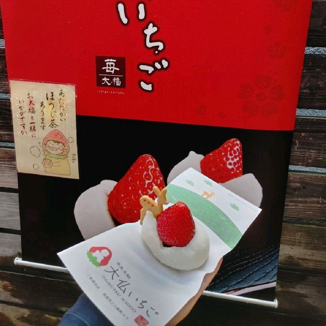 奈良町食べ歩き　大仏いちご・よもぎ餅
