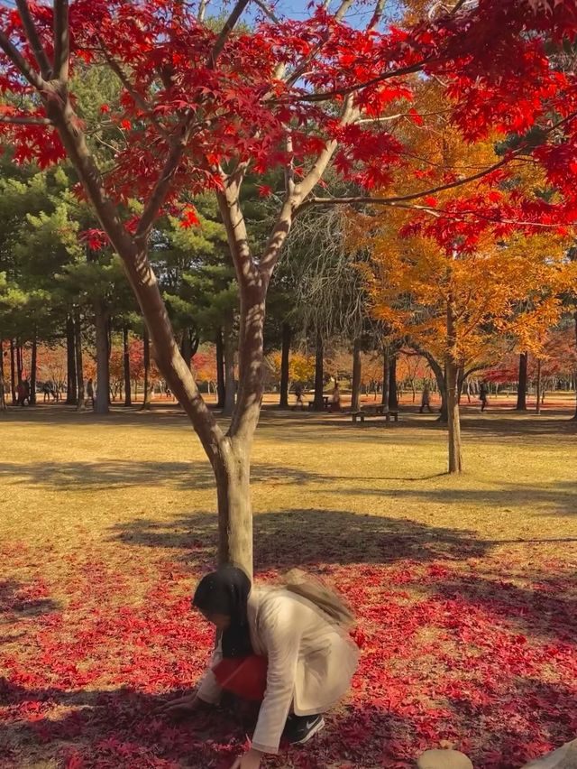 Autumn in My Heart Land