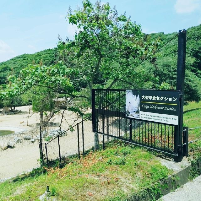 大自然を目の前に　ドライブスルーサファリ　姫路セントラル・パーク