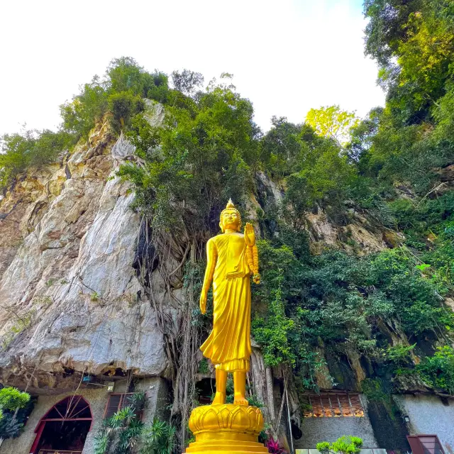 Dhamma Piti Meditation Monastery 