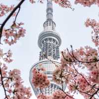 N Seoul Tower 🗼