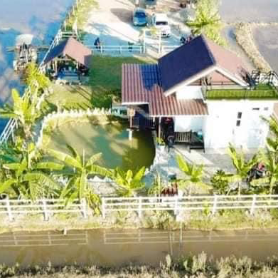 homestay in the middle of padi farm homestay in the middle of padi farm