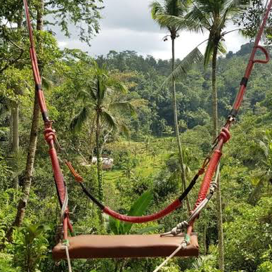 Bali Swing