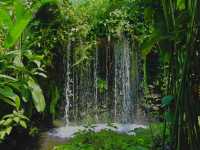 A Wonderland at Kuala Lumpur Butterfly Park 