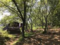 🇯🇵名信片上的風景 — 在新倉山浅間公園看紅塔富士山美景