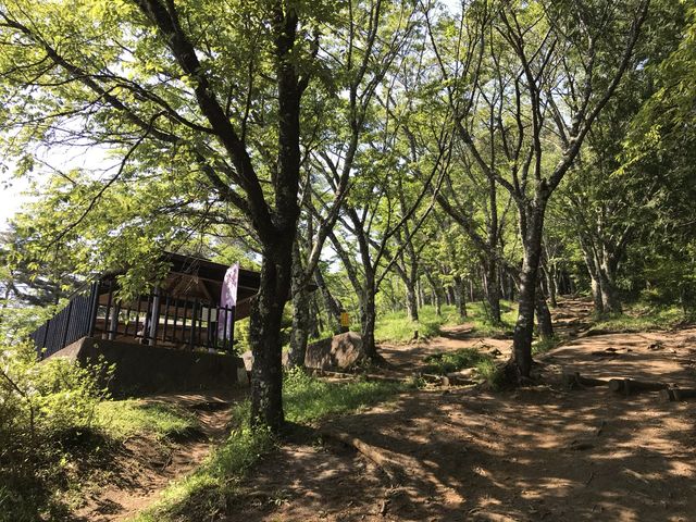 🇯🇵名信片上的風景 — 在新倉山浅間公園看紅塔富士山美景