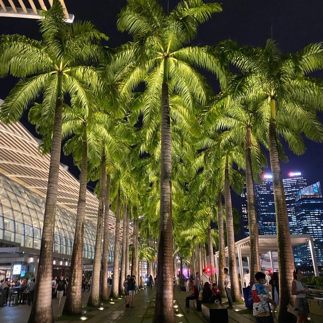 ✨Wonder Full-Light & Water Marina Bay Sands🍾