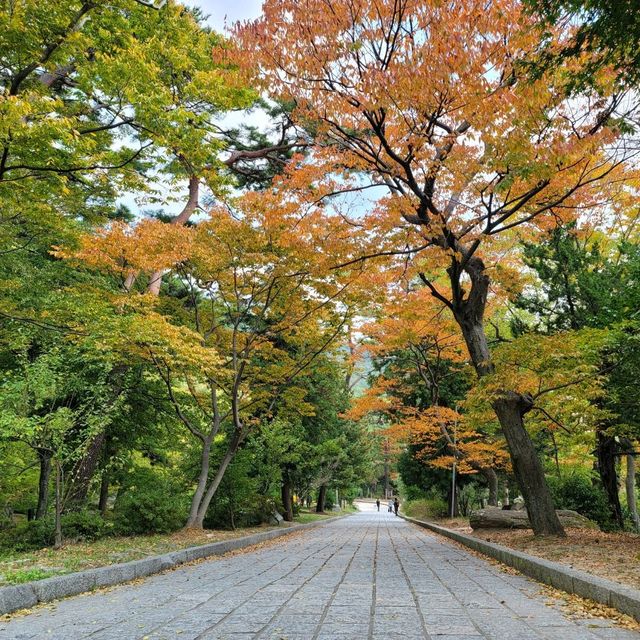 부산 가을을 만끽할 수 있는 범어사